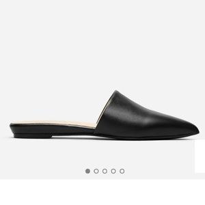 Everlane Pointed Slide